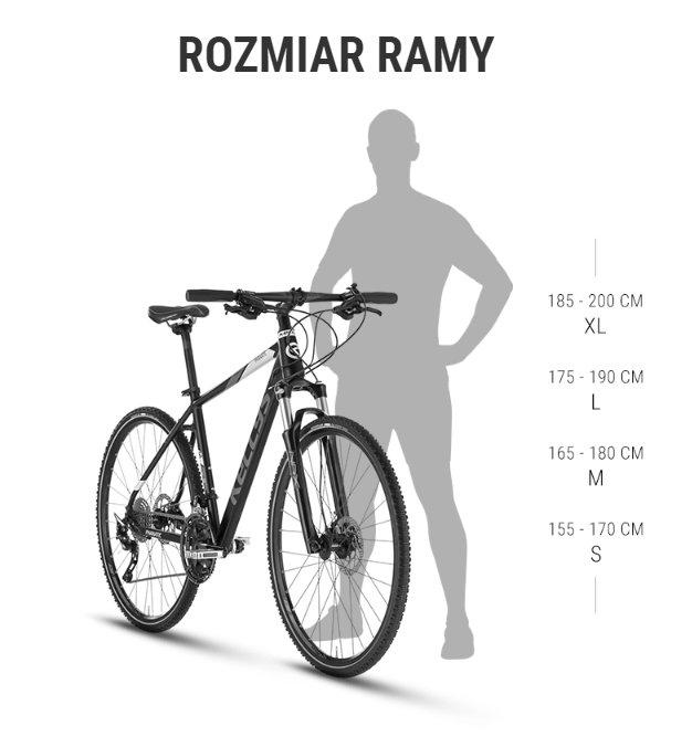 Zrzut ekranu 2023-07-18 093331.png