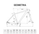 geometria.jpg