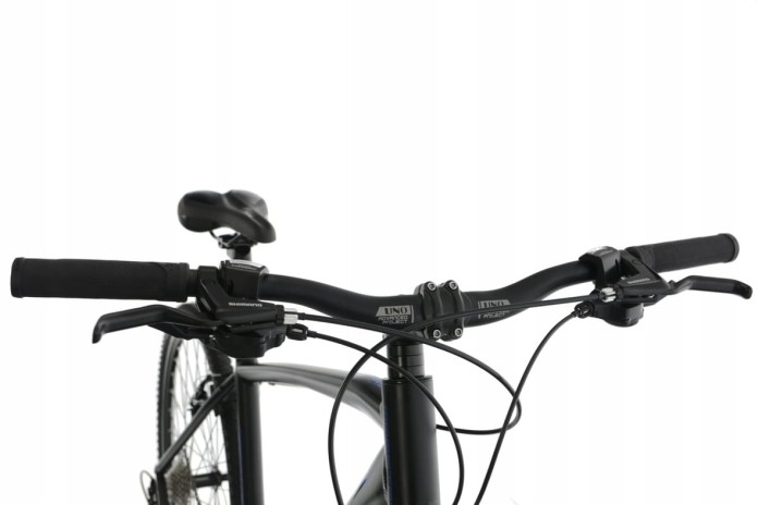 15_Rower 28" Crossowy Kands MAESTRO rama 21" czarny - niebieski R22.jpg