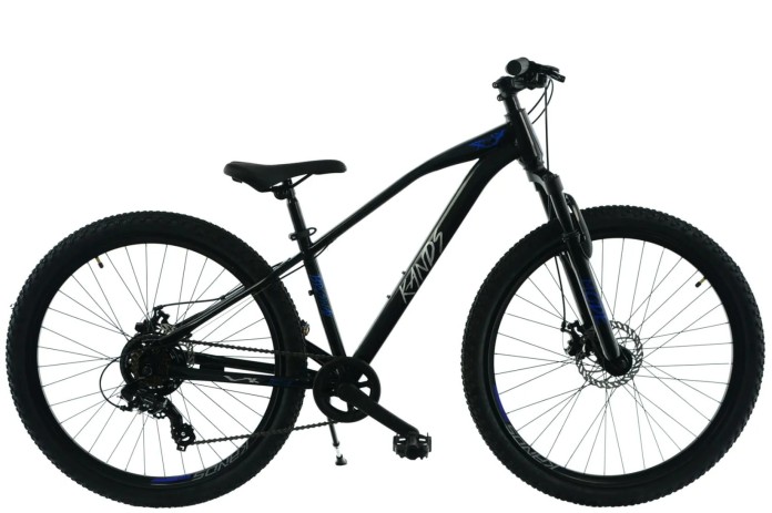 1_R25 R KANDS 27  BROSWAY 14 CZARNO NIEB POŁ.jpg