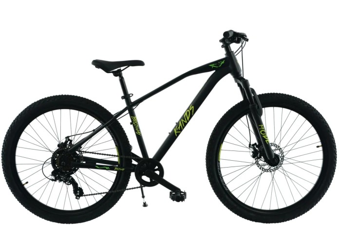 1_R25 R KANDS 27  BROSWAY 14 GRAFIT SELEDYN MAT.jpg