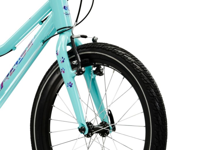5_R25 R KROSS Lea MINI 3.0 D 20 mor_fio p 3316.jpg