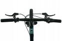 Rower dziecięcy 20" KANDS NICO AM 2XT ciemnozielony R25