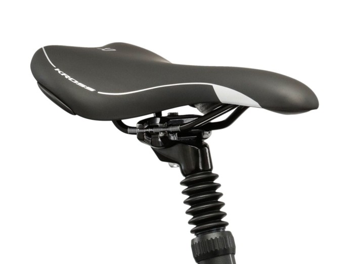 11_Rower 28" Crossowy KROSS EVADO 3.0 rama L 19" szary - zielony R25.jpg