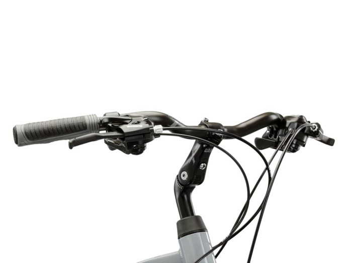 4_Rower 28" Trekkingowy KROSS TRANS 1.0 rama M 19" szary - czarny R25.jpg