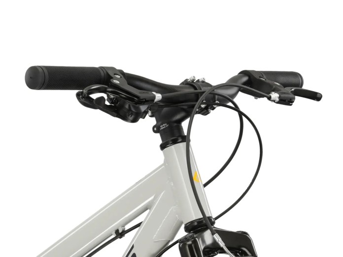 Rower dziecięcy 24" KROSS DUST JR 1.0 rama M 12" szary czarny R24