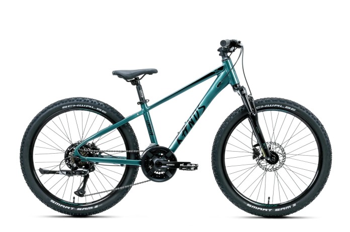 1_Rower dziecięcy 24" KANDS LEOPARDO HYDR rama 13" ciemno zielony R26.jpg