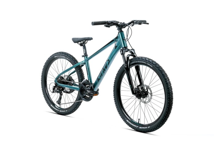 2_Rower dziecięcy 24" KANDS LEOPARDO HYDR rama 13" ciemno zielony R26.jpg