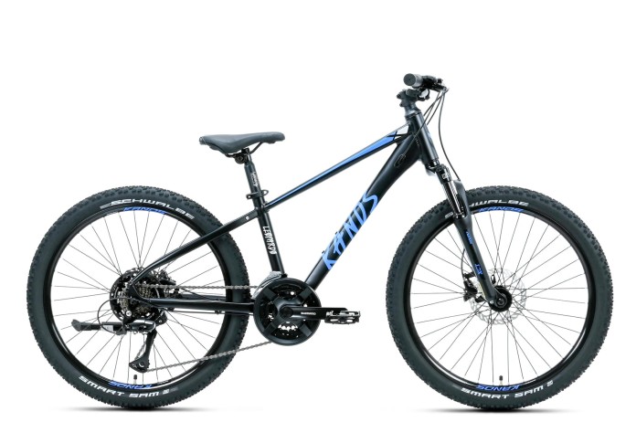 1_Rower dziecięcy 24" KANDS LEOPARDO HYDR rama 13" czarny - niebieski R26.jpg