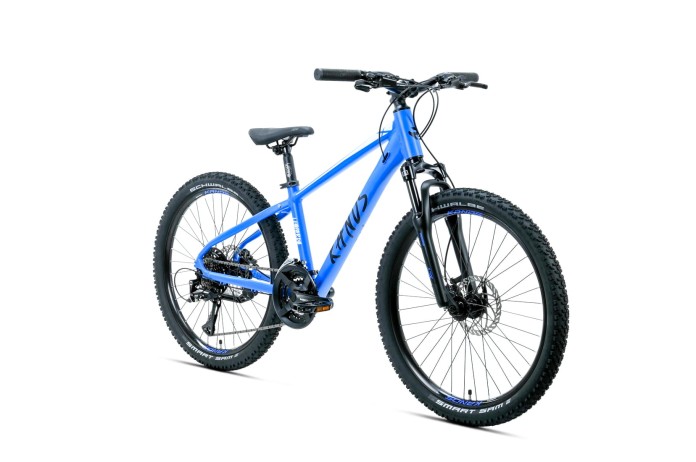 2_Rower dziecięcy 24" KANDS LEOPARDO HYDR rama 13" niebieski R26.jpg