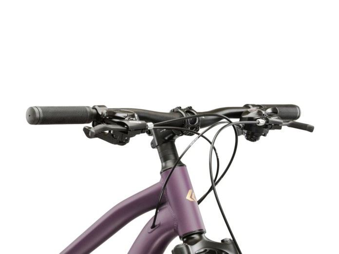 4_Rower MTB 29" KROSS LEA 2.0 rama L 18" fioletowy - złoty R25.jpg