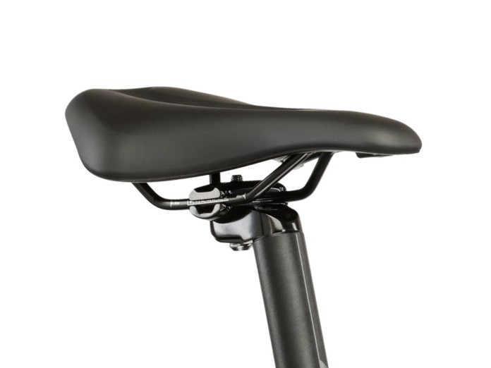 11_Rower MTB 29" KROSS LEA 2.0 rama L 18" fioletowy - złoty R25.jpg