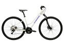 1_Rower crossowy 28" KROSS EVADO 4.0 rama L 19" szary - granatowy R25.jpg