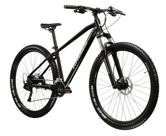 2_Rower MTB 29" KROSS HEXAGON 5.0 rama L 18" czarny - srebrny R25.jpg