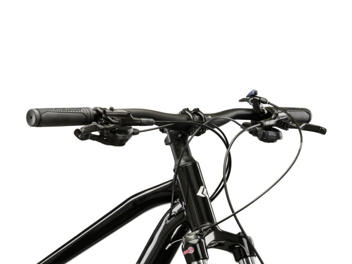 4_Rower MTB 29" KROSS HEXAGON 5.0 rama L 18" czarny - srebrny R25.jpg