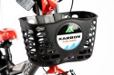 4_Rower dziecięcy 20" KARBON ALVIN czarny - czerwony R22.jpg