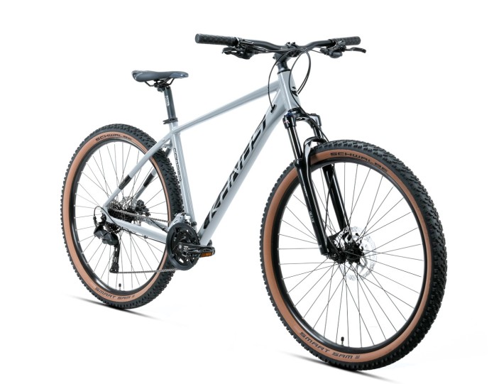 2_Rower MTB 29" KANDS COMP-ER rama 19" szary R26.jpg