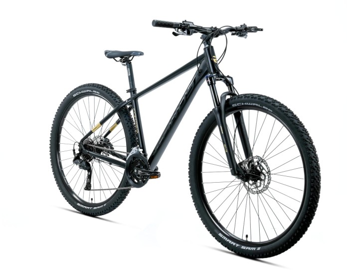 2_Rower MTB 29" KANDS COMP-ER rama 21" czarny - złoty R26.jpg