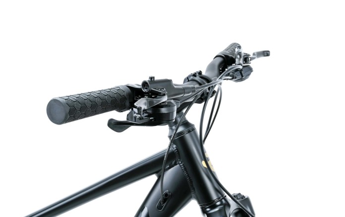 3_Rower MTB 29" KANDS COMP-ER rama 21" czarny - złoty R26.jpg