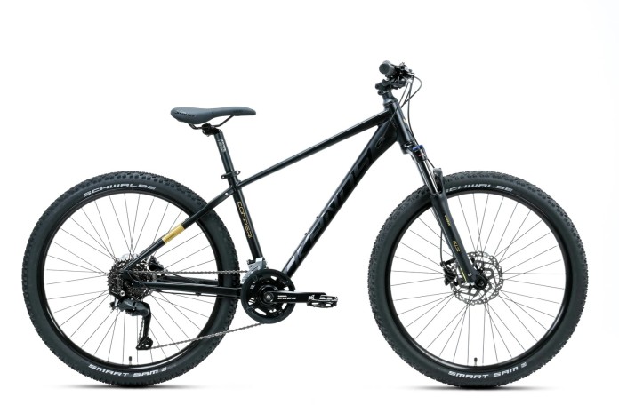1_Rower MTB 27.5" KANDS COMP-ER rama 14" czarny - złoty R26.jpg