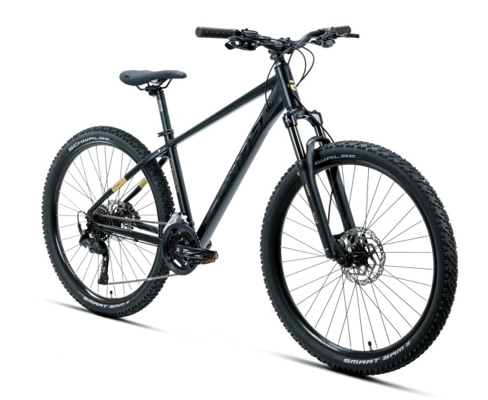 2_Rower MTB 27.5" KANDS COMP-ER rama 14" czarny - złoty R26.jpg