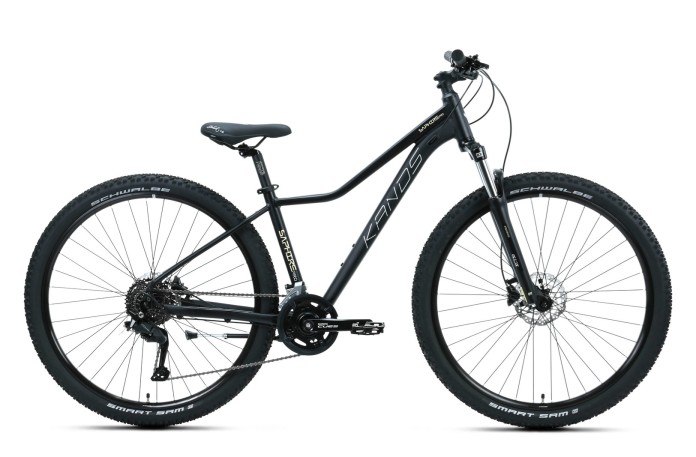 1_Rower MTB 29" KANDS SAPHIRE PRO rama 16" czarny - złoty R26.jpg