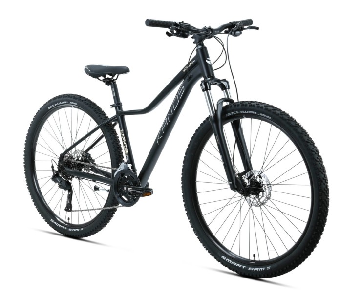 2_Rower MTB 29" KANDS SAPHIRE PRO rama 16" czarny - złoty R26.jpg