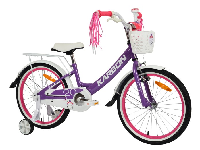 2_Rower dziecięcy 20" KARBON TIARA fioletowy R26.jpg