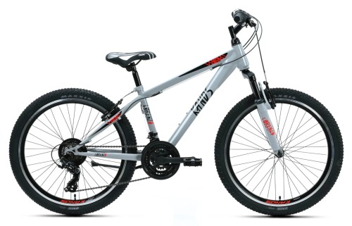 1_Rower dziecięcy 24" KANDS LORENZO rama 14" szary połysk R26.jpg