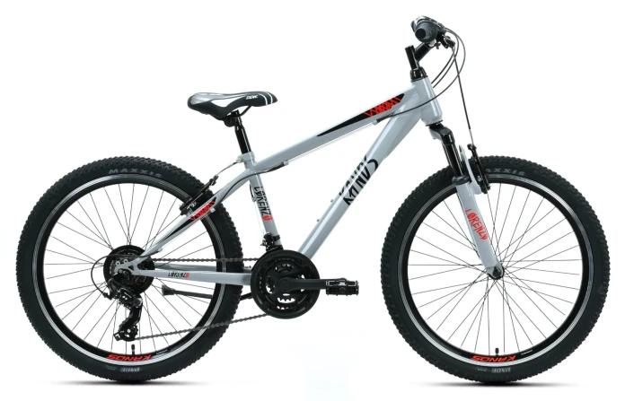 1_Rower dziecięcy 24" KANDS LORENZO rama 14" szary połysk R26.jpg