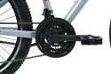 4_Rower dziecięcy 24" KANDS LORENZO rama 14" szary połysk.jpg