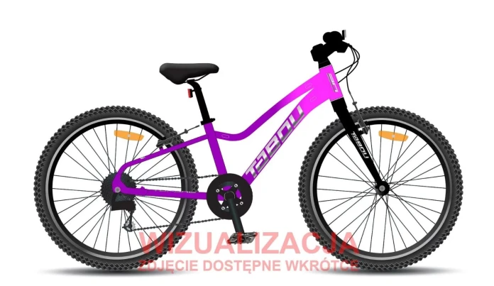 1_Rower dziecięcy 20" TABOU TOPSHE LITE rama 10" pink - purple (różowy - purpurowy) R26.jpg